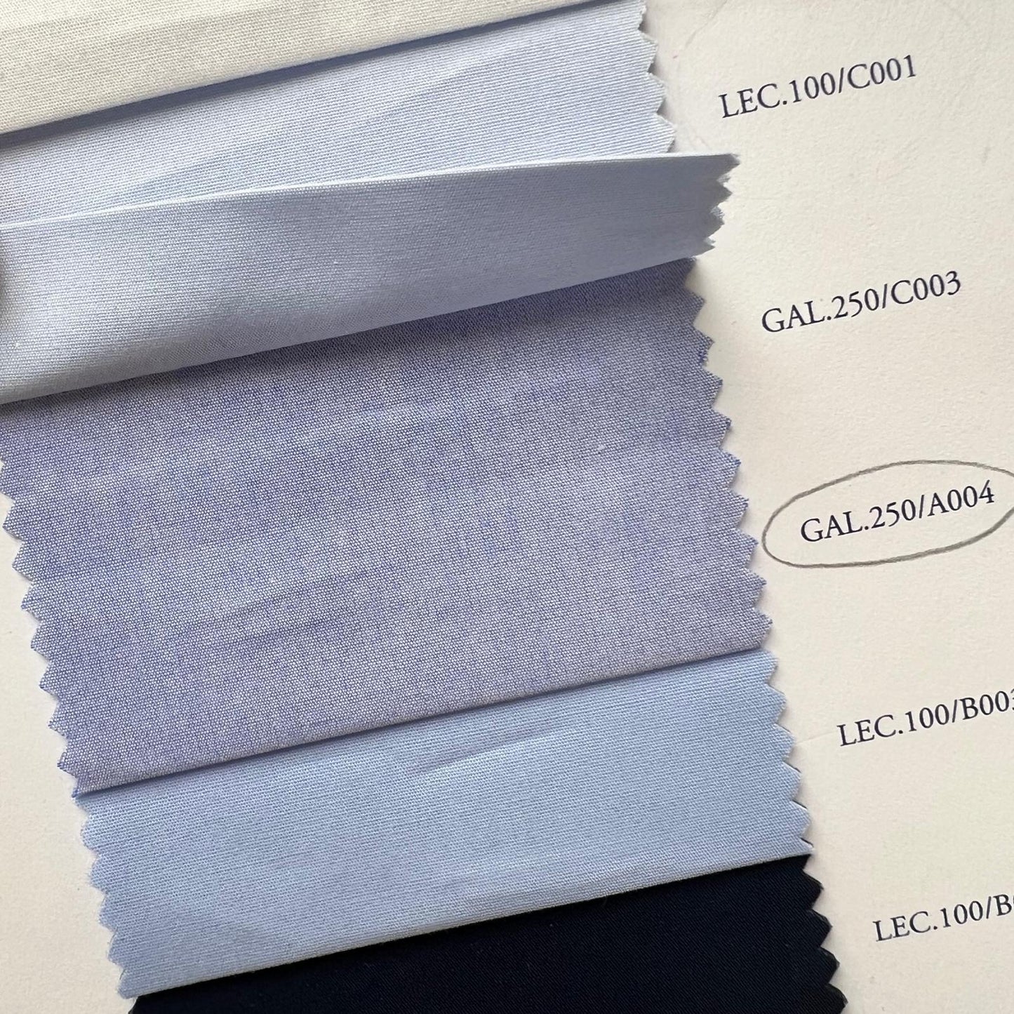 REDDITO DI ELEGANZA 14 COL.AZZURRO