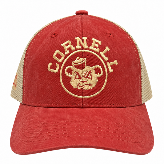 BASEBALL CORNELL