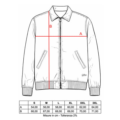 BOMBER HAMILTON COL.NAVY